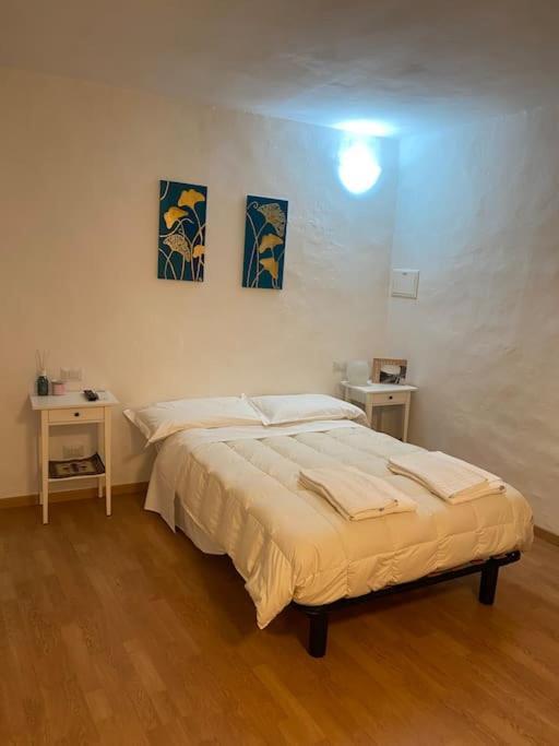 Gianfranco - City Center Apt フィレンツェ エクステリア 写真