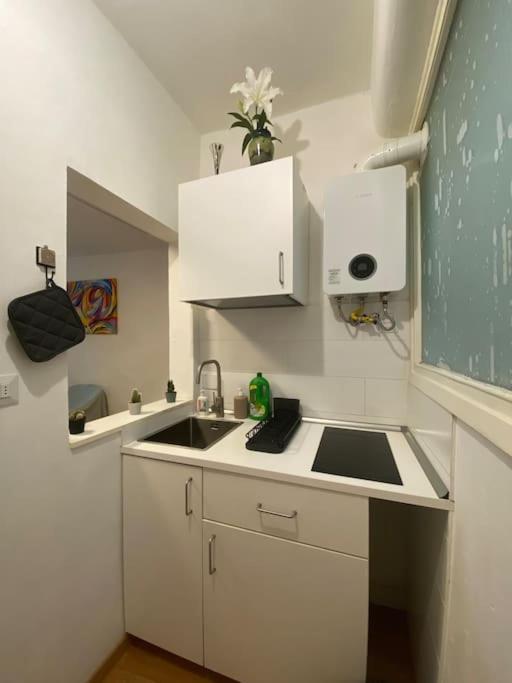 Gianfranco - City Center Apt フィレンツェ エクステリア 写真