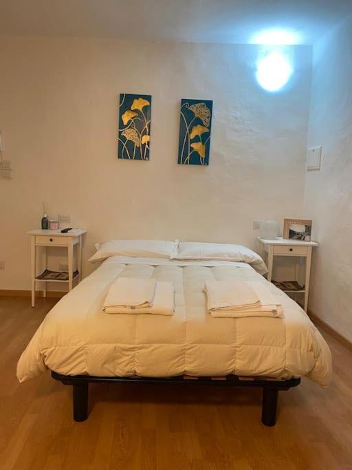 Gianfranco - City Center Apt フィレンツェ エクステリア 写真