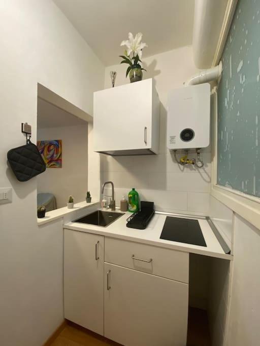 Gianfranco - City Center Apt フィレンツェ エクステリア 写真