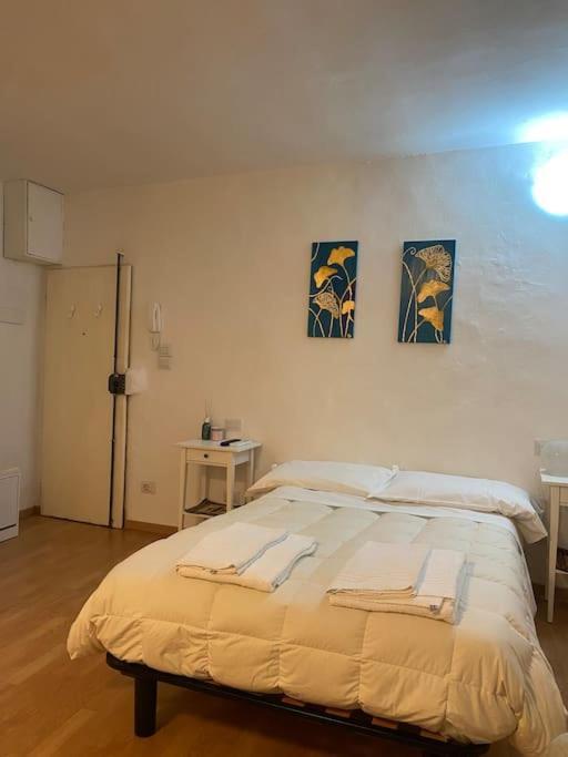 Gianfranco - City Center Apt フィレンツェ エクステリア 写真