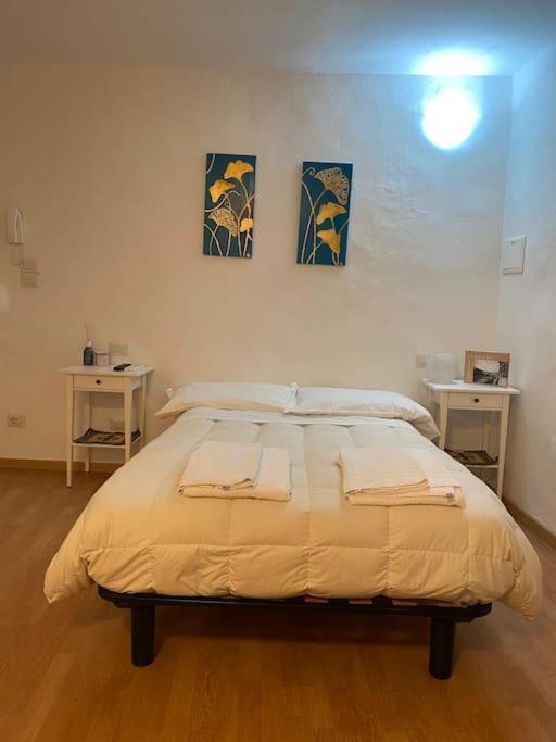 Gianfranco - City Center Apt フィレンツェ エクステリア 写真
